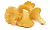 chanterelle mushrooms, cleaned, halved if large