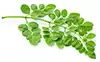 Moringa Leaves
