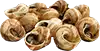 Escargot