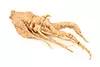 Ginseng Root
