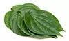 fresh betel leaves