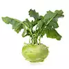 kohlrabi, peeled and cut into 1/4-inch-thick sticks