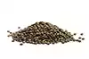 French Lentils