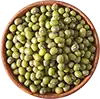 sprouted mung beans
