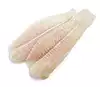 Orange Roughy