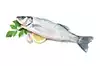 seabass fillets