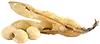सोयाबीन