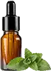 liquid stevia