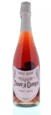 Juve Y Camps Pinot Noir Brut Rose