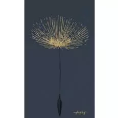 Driscoll Wine Co Tilth Zinfandel