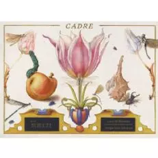 कैडर स्टोन ब्लॉसम सॉविनन ब्लैंक