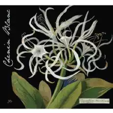 Botanica मदिरा मैरी Delany Chenin ब्लॉन्क