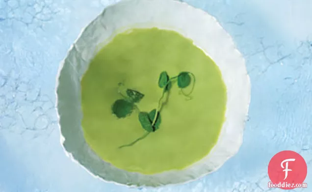Chilled Fresh Pea and Buttermilk Soup
