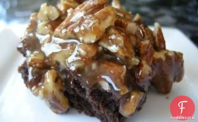 Turtle Brownies