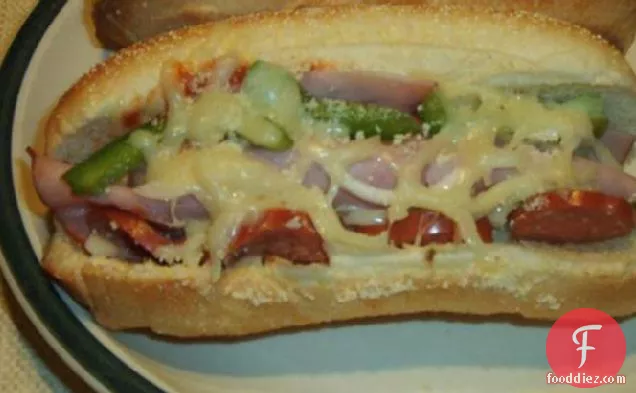 Delicious Oven Pizza Sub Sandwiches