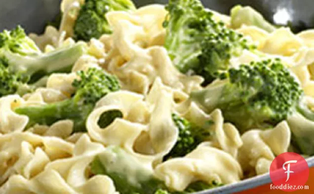 Broccoli and Noodles Supreme