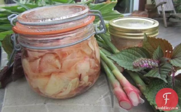 Pickled Ginger