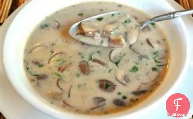 ताजा जंगली मशरूम सूप
