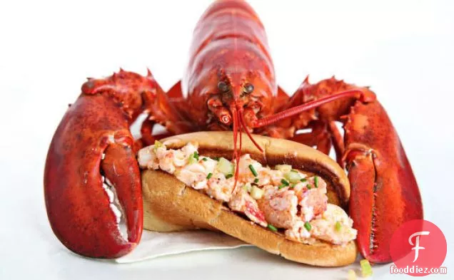 Lobster Rolls (and Lobster Lessons)