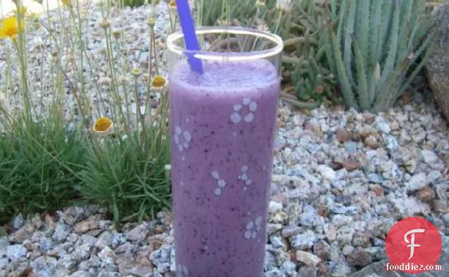 Healthy Blueberry Milkshake