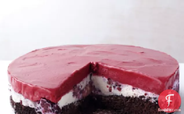 Chocolate-Berry Ice Cream Cake