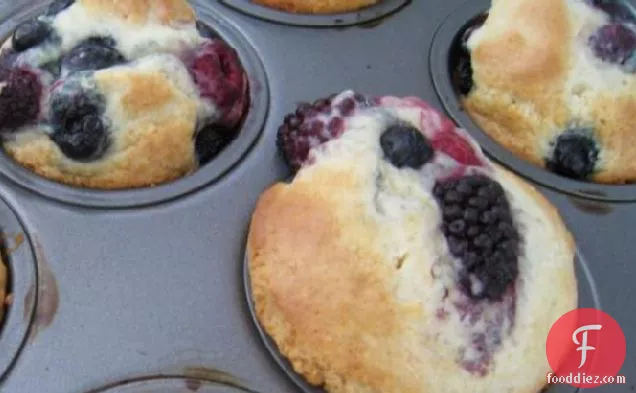 Jumbo Blueberry Muffins (or Cranberry)