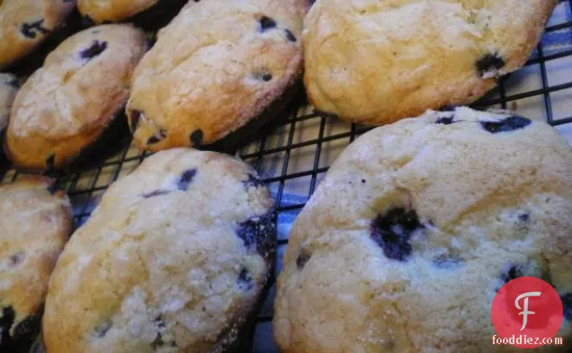 Jordan Marsh Famous Blueberry Muffins