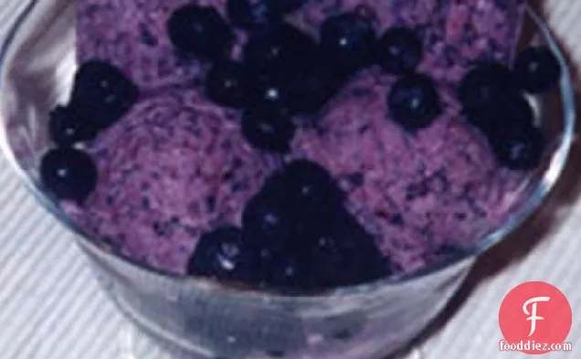 Blueberry Yogurt Ice Cream