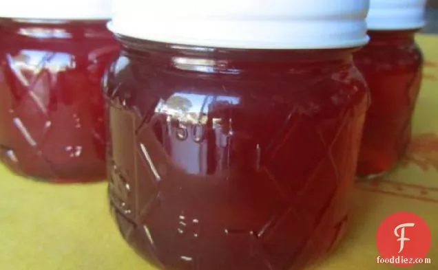 Cranberry Bee Balm Jelly
