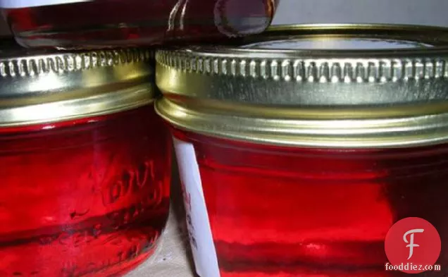 Cranberry-Pepper Jelly (Hot)