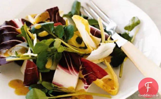 Red Endive and Watercress Salad