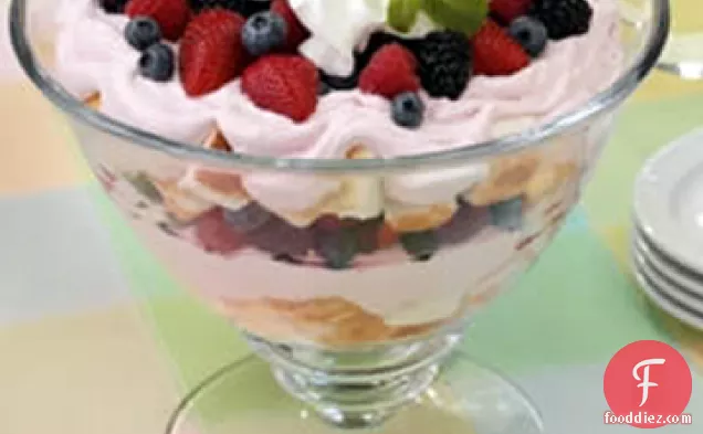 Berry Pudding Trifle