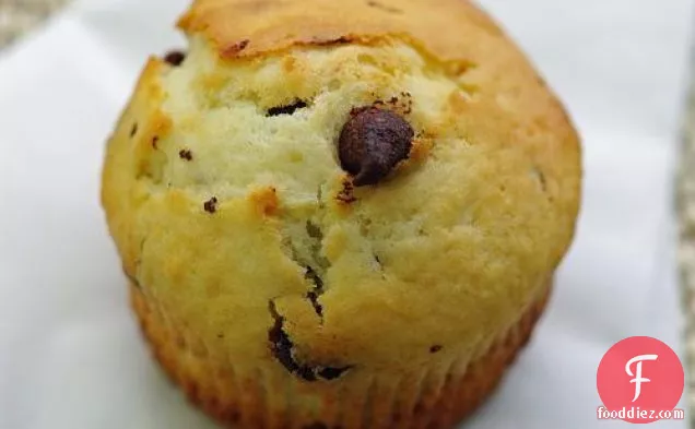 Chocolate Chip Muffins