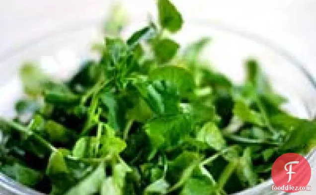 Wilted Watercress Salad