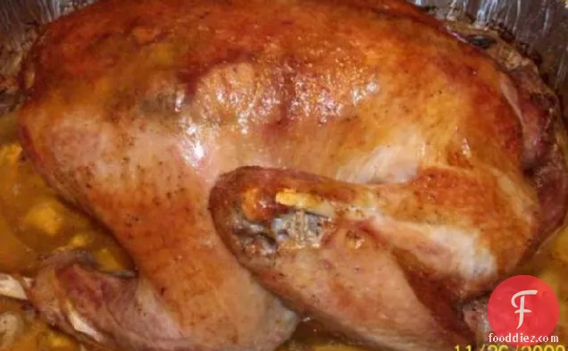 Kittencal's Perfect Roasted Whole Turkey (Great for Beginners)
