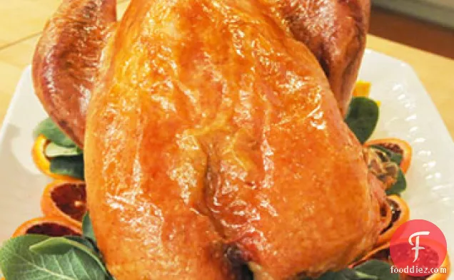 Slow-Roasted Heritage Turkey with Orange and Sage