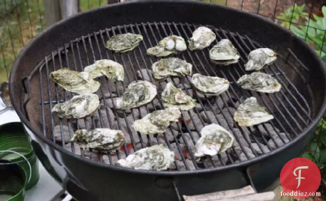 Grilled Oysters