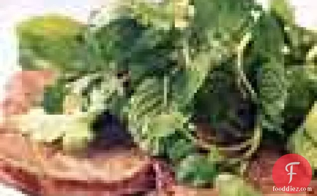 वॉटरक्रेस और हर्ब सलाद के साथ बीफ पेलार्ड