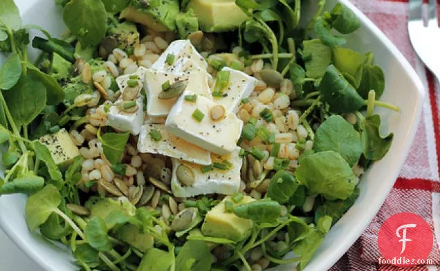 Barley, Avocado And Brie Cheese