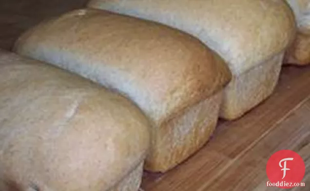 Easy Whole Wheat Bread