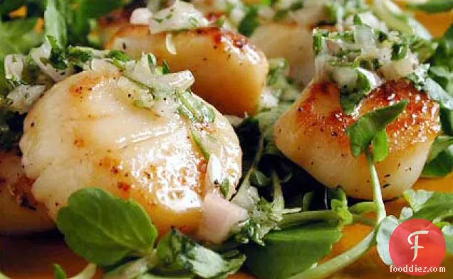 Seared Scallops with Parsley-Thyme Relish