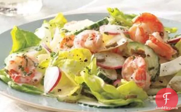 Creamy Shrimp Salad With Endive And Cucumber Recipe