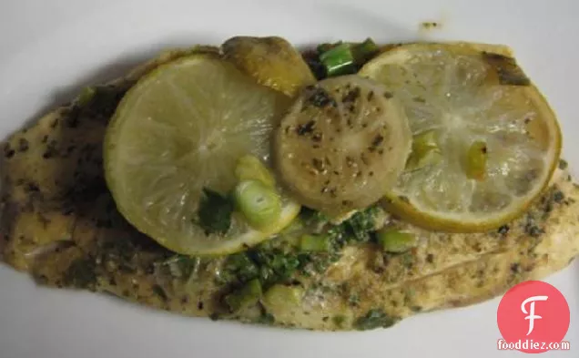 सिलेंट्रो लाइम फिश