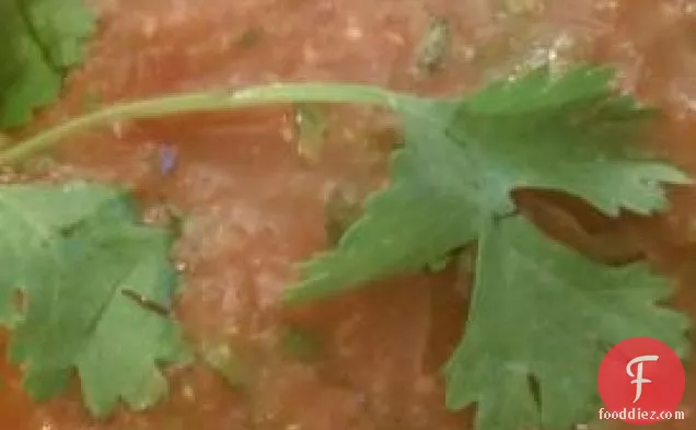 Garden Tomato Salsa