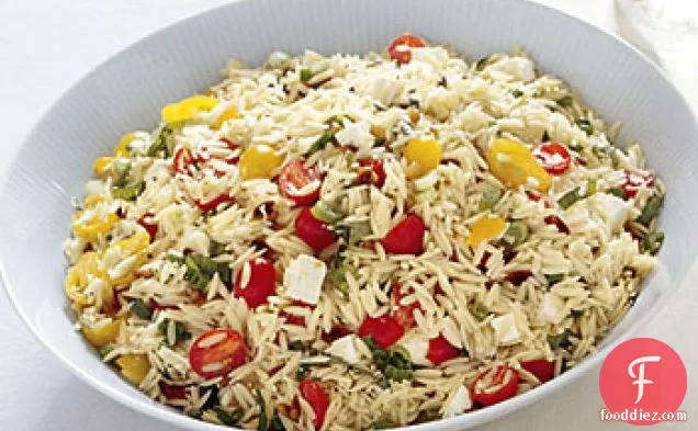 Orzo with Tomatoes, Feta, and Green Onions