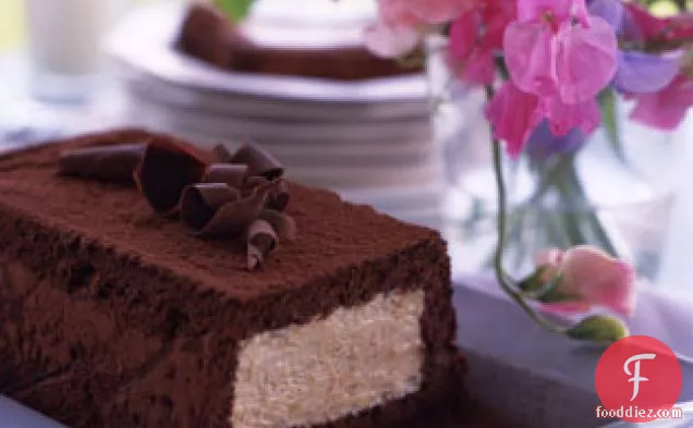 Mocha Cake with Malted Semifreddo