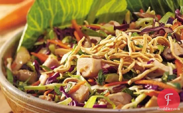 Chicken Slaw Salad