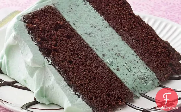 Mint-Chocolate Ice Cream Cake
