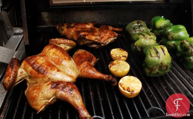 अजवायन-जले हुए नींबू के साथ मैरीनेट किया हुआ ग्रिल्ड चिकन