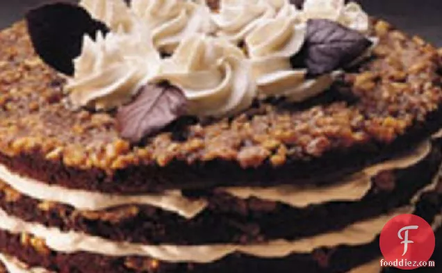 Chocolate-Walnut Torte